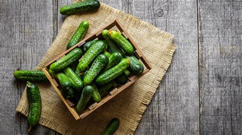 Bienfaits Du Cornichon