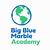 big blue marble academy reviews