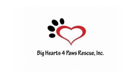 Big Hearts 4 Paws - Animal Aid USA