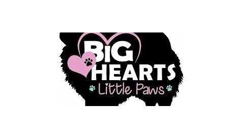Big hearts, Little paws