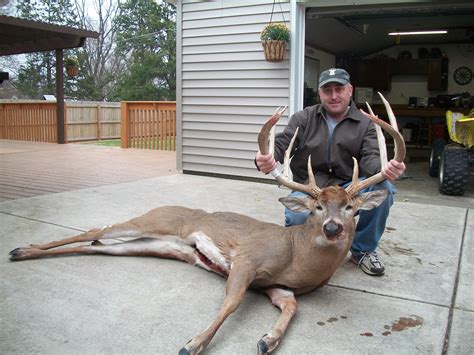 big 8 point buck