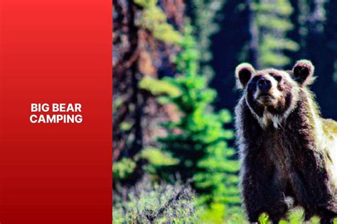 Big Bear Camping With Hookups