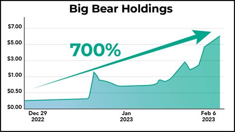big bear holdings stock