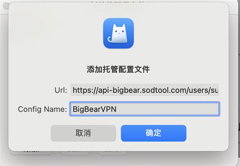 big bear vpn.sodtool.com