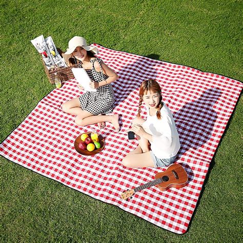 Big Blankets For Picnic