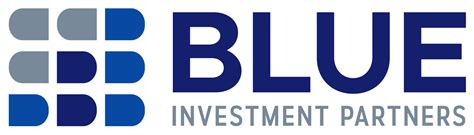big blue investments llc