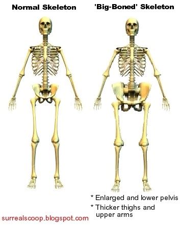 Big Boned Skeleton