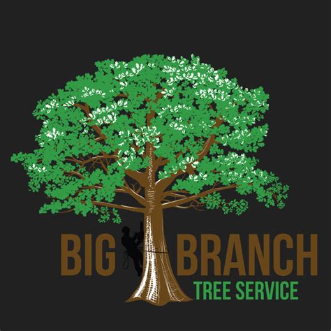 big branch tree service - middleburg