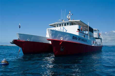 Big Cat Fishing Charters