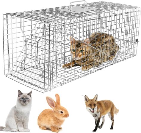 Big Cat Trap Cage