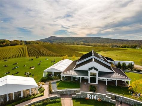 Unveil the Big Secret: Exploring the Enchanting World of Big Cork Winery