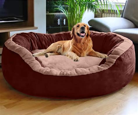 Big Dog Beds Amazon