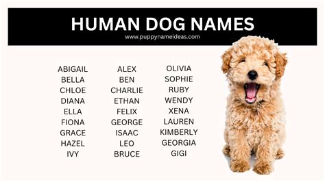 Big Dog Human Names