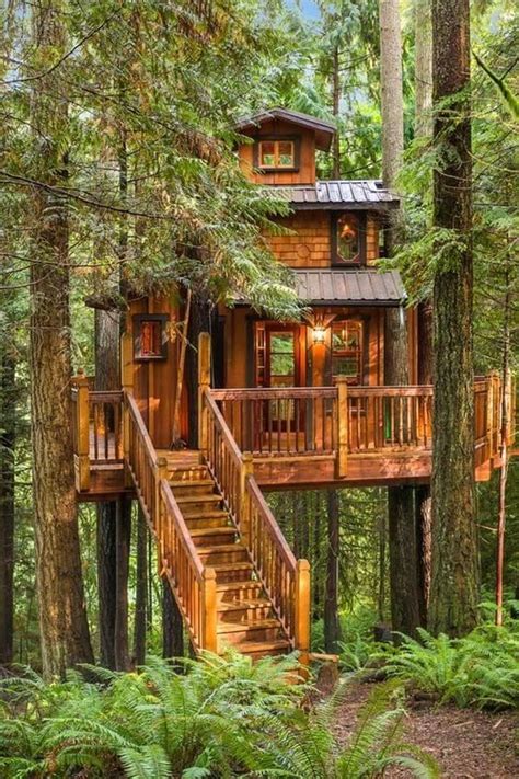 Big Fancy Tree House