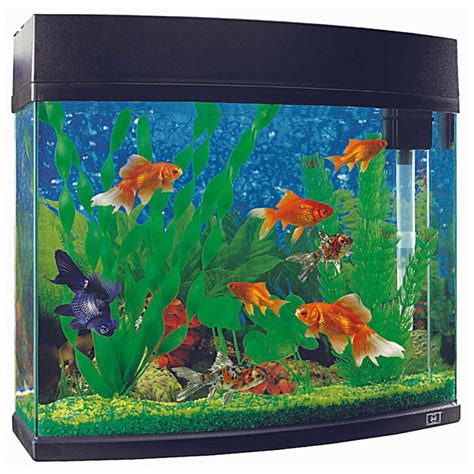 big fish tanks cheap