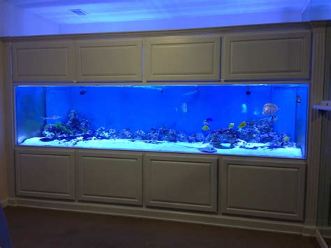 big fish tanks for sale