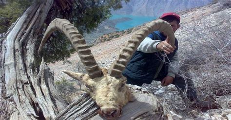 big game hunting in tajikistan