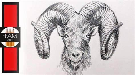 Big Horns Drawing