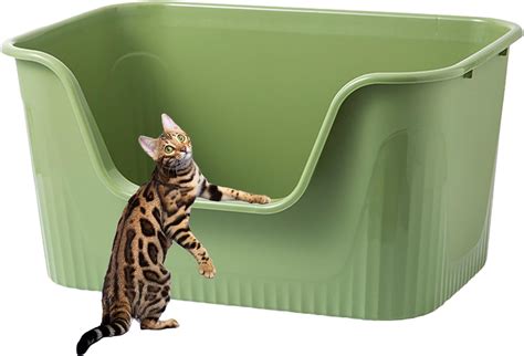 Big Litter Box For Cats