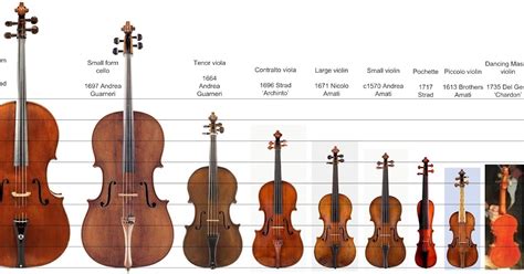 Big Violin Names