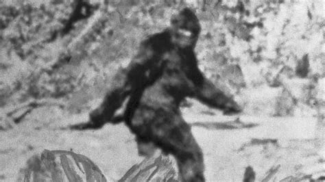 bigfoot people search free