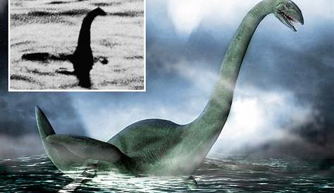 Is this final proof of the Loch Ness monster? Tourist's new video shows