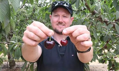 biggest cherry porn