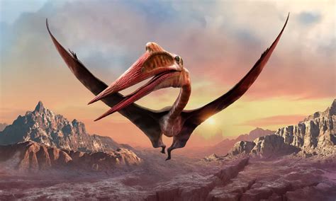 Biggest Dinosaur To Fly