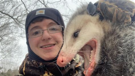 biggest possum