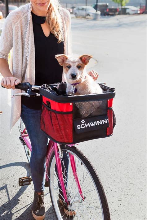 bike with dog carrier