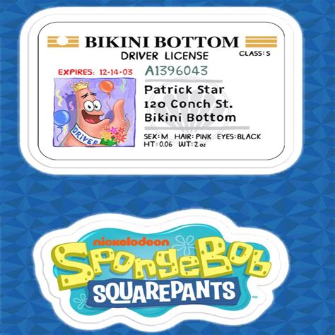 bikini bottom driver's license