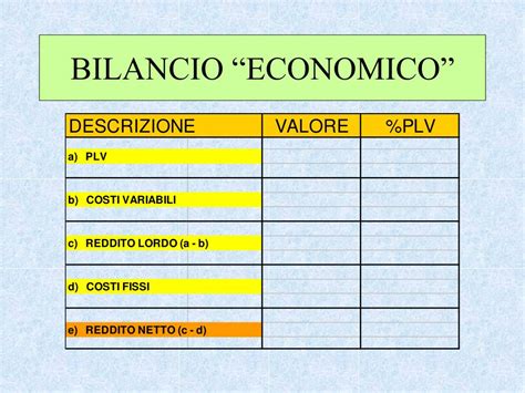 bilancio di un azienda