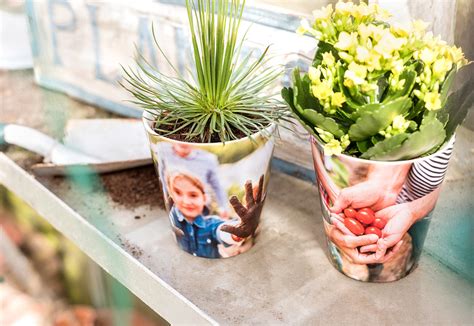 Der Blumentopf Foto & Bild deutschland, europe, schleswig holstein