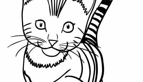 Katzen Ausmalbilder zum ausdrucken kostenlos - Malbuch Online kaufen