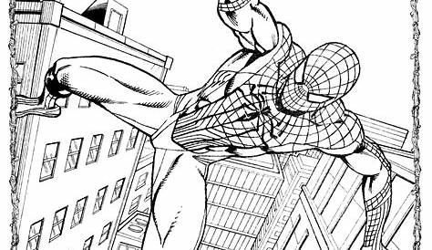 Spiderman Ausmalbilder | 8 Beste Spiderman Malvorlagen Kostenlos zum