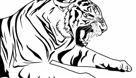 Ausmalbilder zum Drucken Malvorlage Tiger kostenlos 2