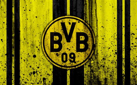 bilder von bvb dortmund