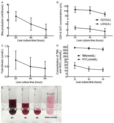 Bile Production Volume