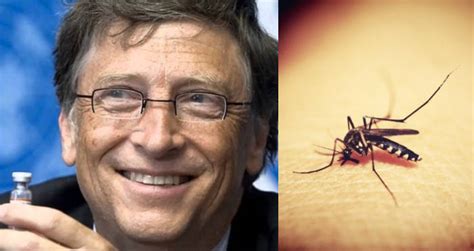 bill gates and the malaria virus