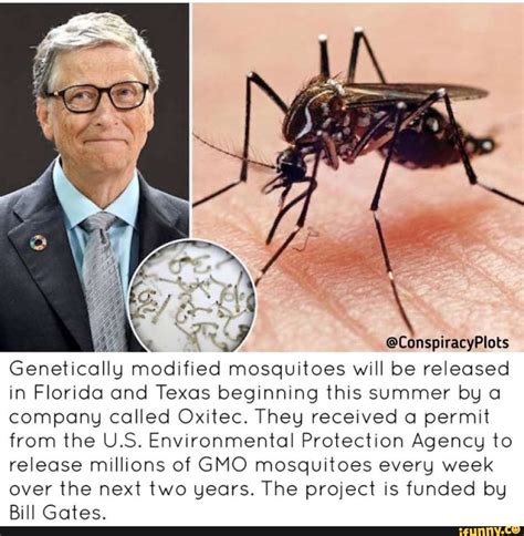 bill gates genetically modified ticks