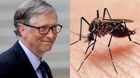 bill gates mosquito speech