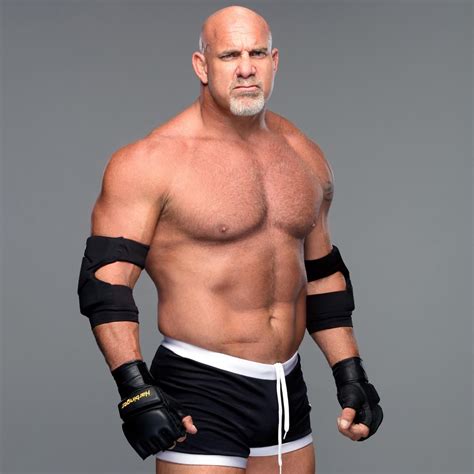 bill goldberg goldberg of wwe