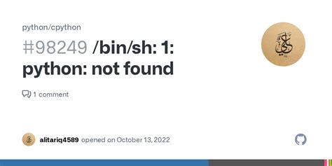 Bin/Python Not Found