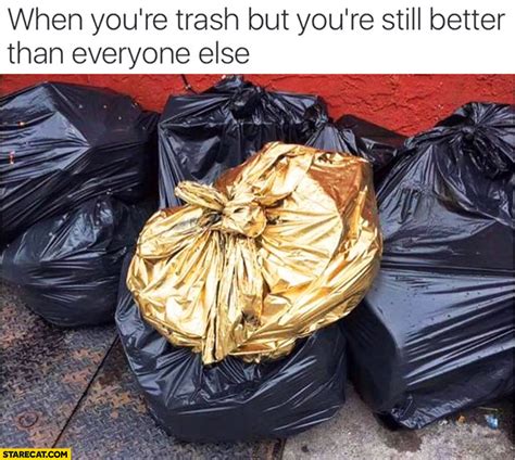 Bin Bag Bin Meme