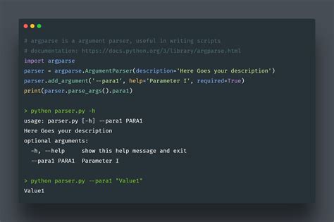 Bin Bash Python