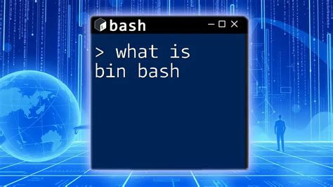 Bin Bash Shellcode