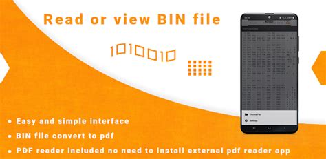 Bin File Reader App