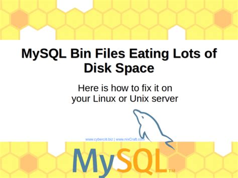 Bin Files Mysql