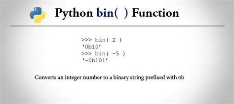 Bin In Python Example