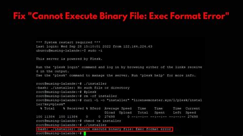 Bin Python Cannot Execute Binary File